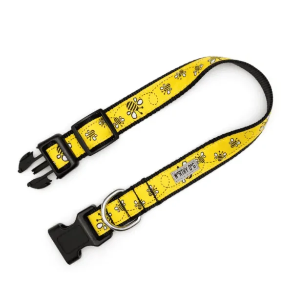 Yellow Bzzz Collar/Leash