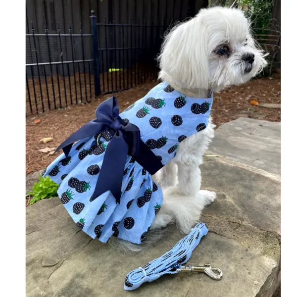 Blackberries Dog Dress w/ Matching Leash