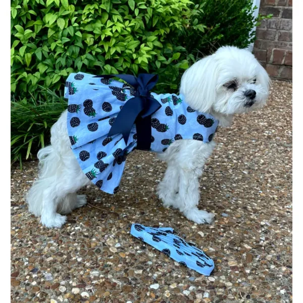 Blackberries Dog Dress w/ Matching Leash
