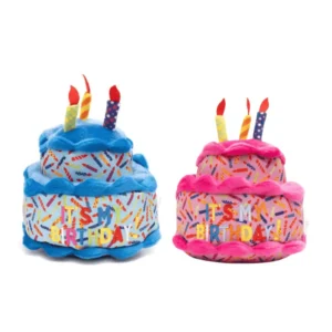Birthday Cake Toy