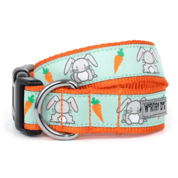 A dog collar featuring a light blue background with cute bunny and carrot designs, and an orange trim.