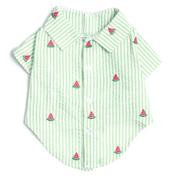 A green and white striped dog shirt with watermelon slice embroidery.