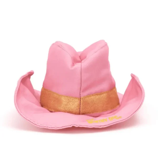 A pink cowboy dog hat with a gold band.