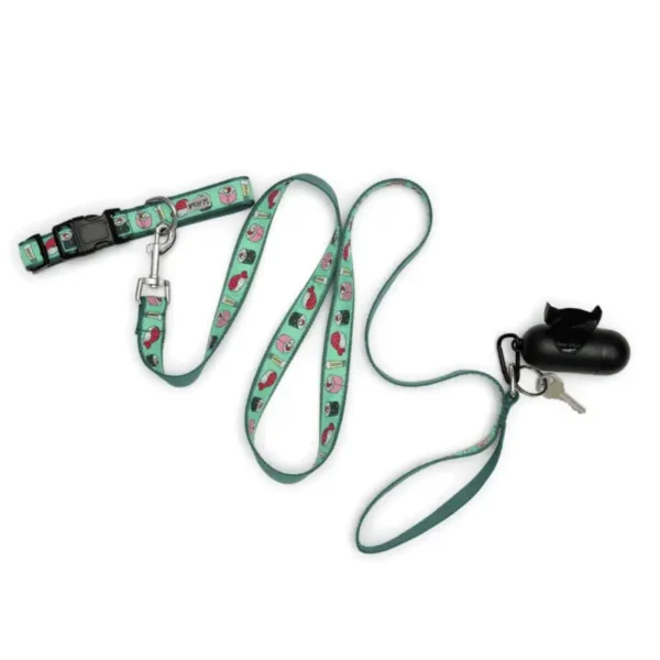A colorful dog collar and leash with a matching waste bag holder attached.
