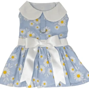 A light blue dog dress with daisy patterns, a white collar, and a white bow at the waist.
