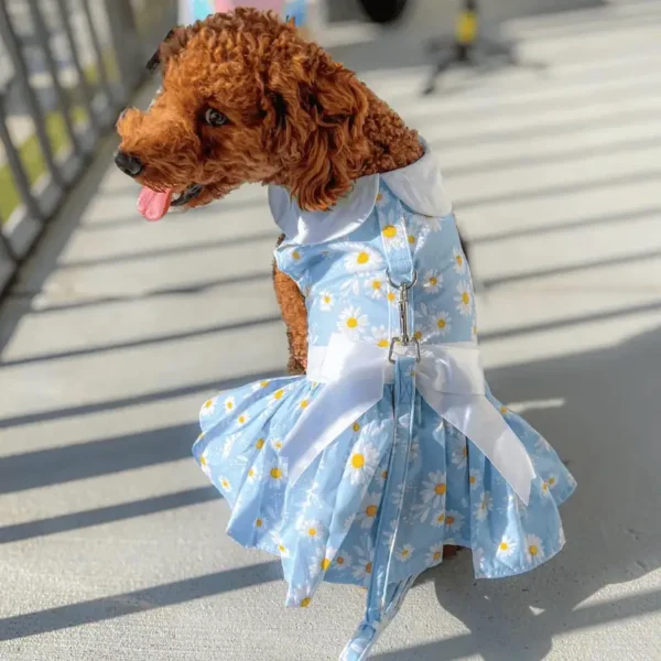 A dog wearing a blue dress with a floral pattern and a white collar, standing on a porch with shadows cast by the railing.