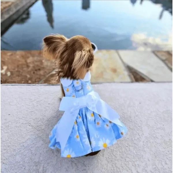 A small dog wearing a blue dress with white daisies and a white bow, standing by a body of water.