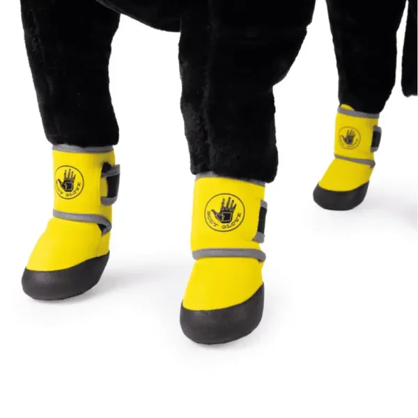 The image shows a dog's paws wearing bright yellow protective booties with gray accent straps.