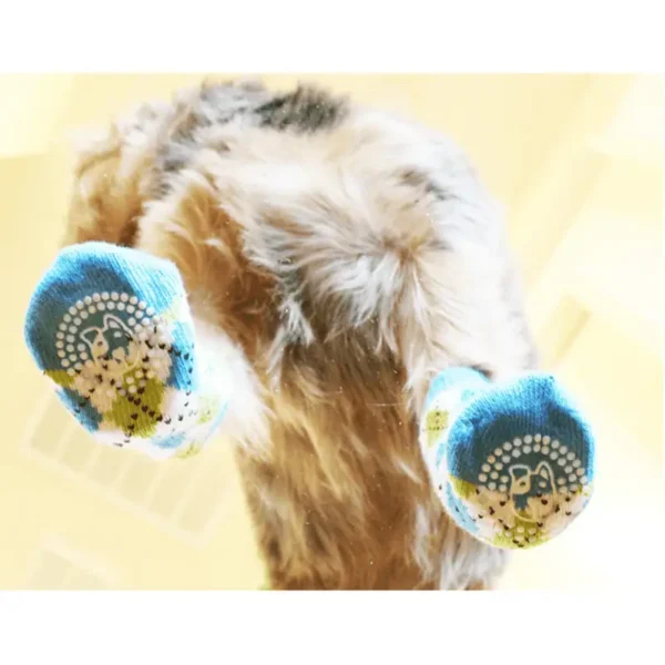 A pair of colorful socks on furry legs, viewed from below.