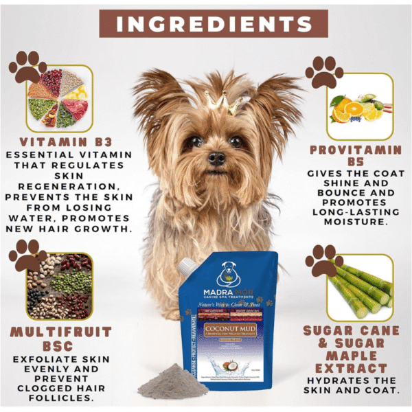 Coconut mud dog treatment. Yorkie with ingredients.
