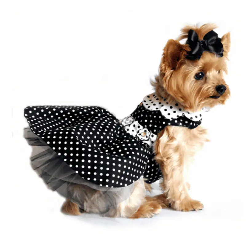 Dog dress