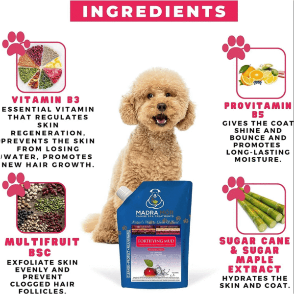 Fortifying spa mud dog treatment with a dog showing the ingredients