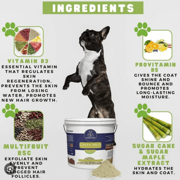 Green mud dog treatment, power bath with a Boston Terrier, and ingredients