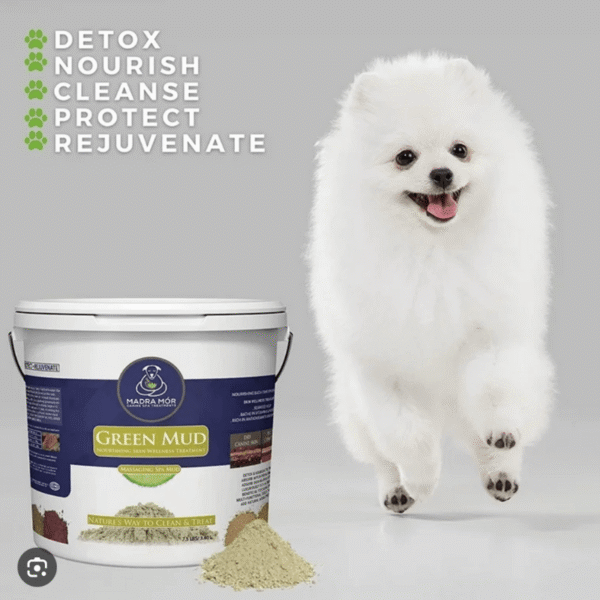 Green mud dog treatment, power bath with a Pomeranian. Large bucket size