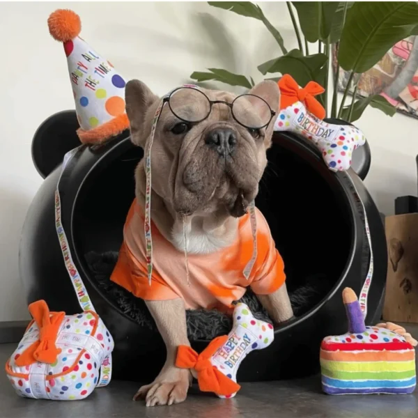 Dog with Happy Birthday Pawty Hat Dog Toy, birthday bone, and cake plush toys in the background