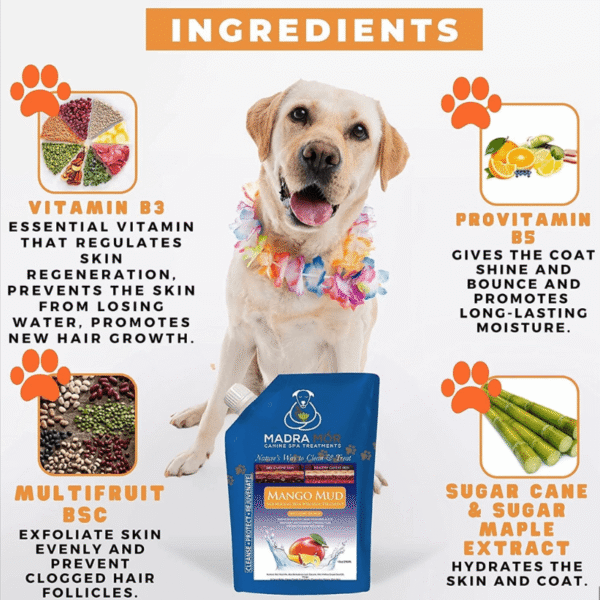 Mango massaging spa mud dog treatment with a dog and the ingredients
