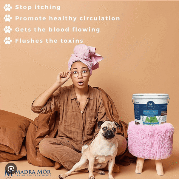 Mobility mud dog treatment. A lady with her dog