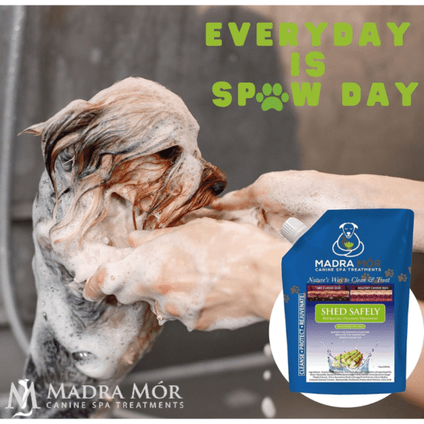 Shed safley mud4