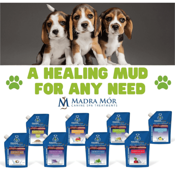 3 Beagles: A healing mud for any need. with all the different muds