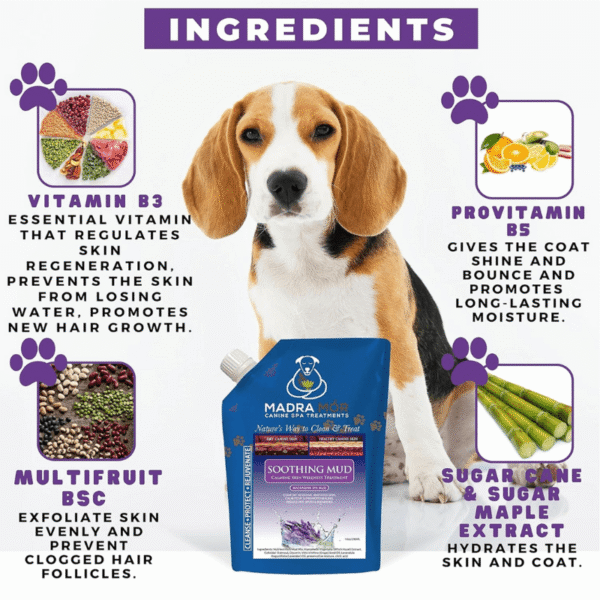 Soothing calm mud treatment. A Beagle with ingredients