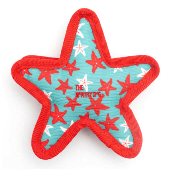 Back view of Turquoise starfish dog toy with rugged fabric, reinforced lining, and multiple squeakers for tug, toss, and chew play.