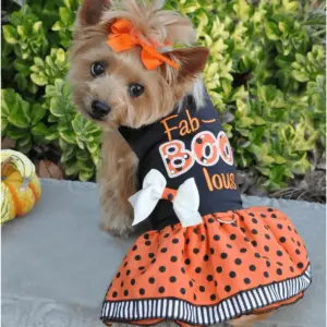 Small brown dog wearing a Halloween dress with a black bodice that says Fab-Boo-Lous with a white bow and a orange skirt with black polka dots