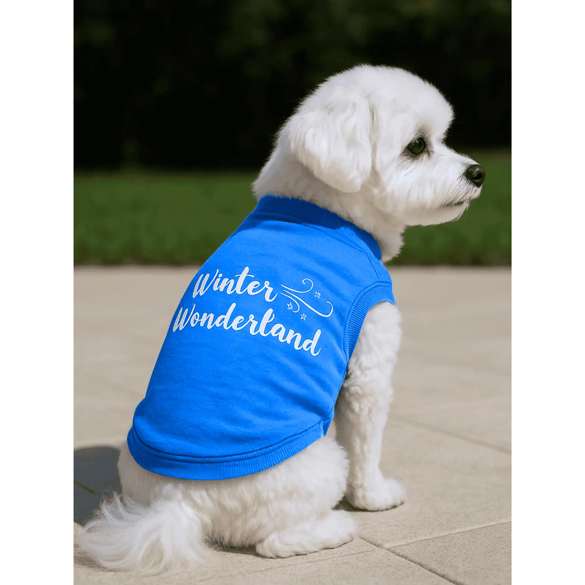 Winter Wonderland Dog Shirt2
